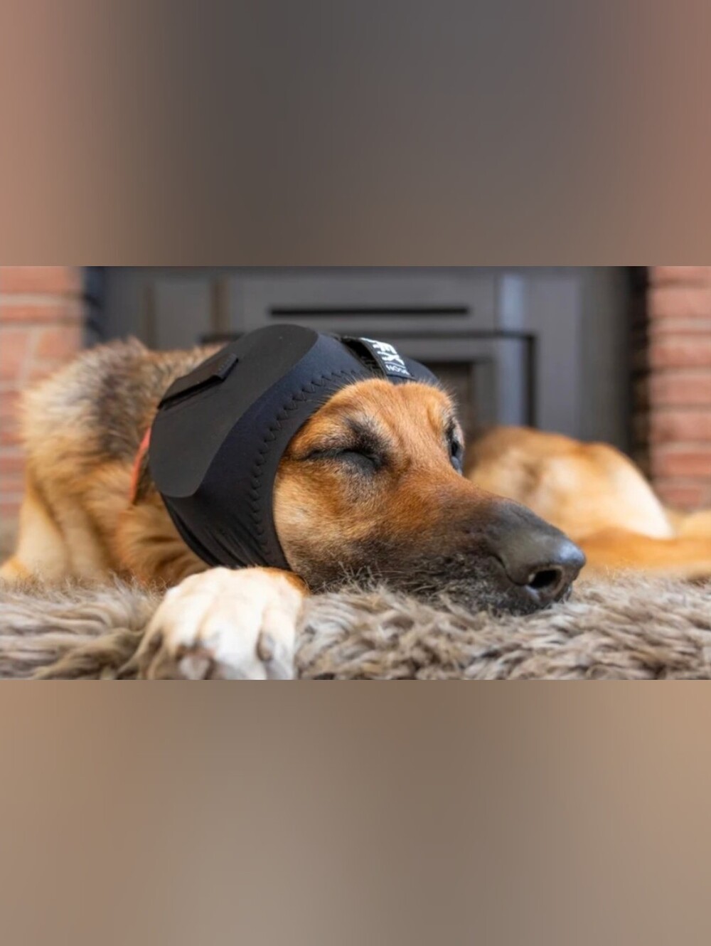 Black Dog Ear Protection Headband - Comfort Ear Wrap